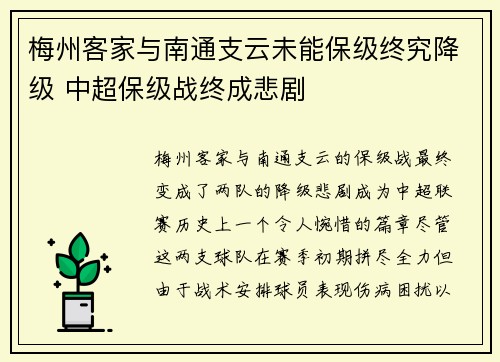 梅州客家与南通支云未能保级终究降级 中超保级战终成悲剧 梅州客家与南通支云未能保级终究降级 中超保级战终成悲剧